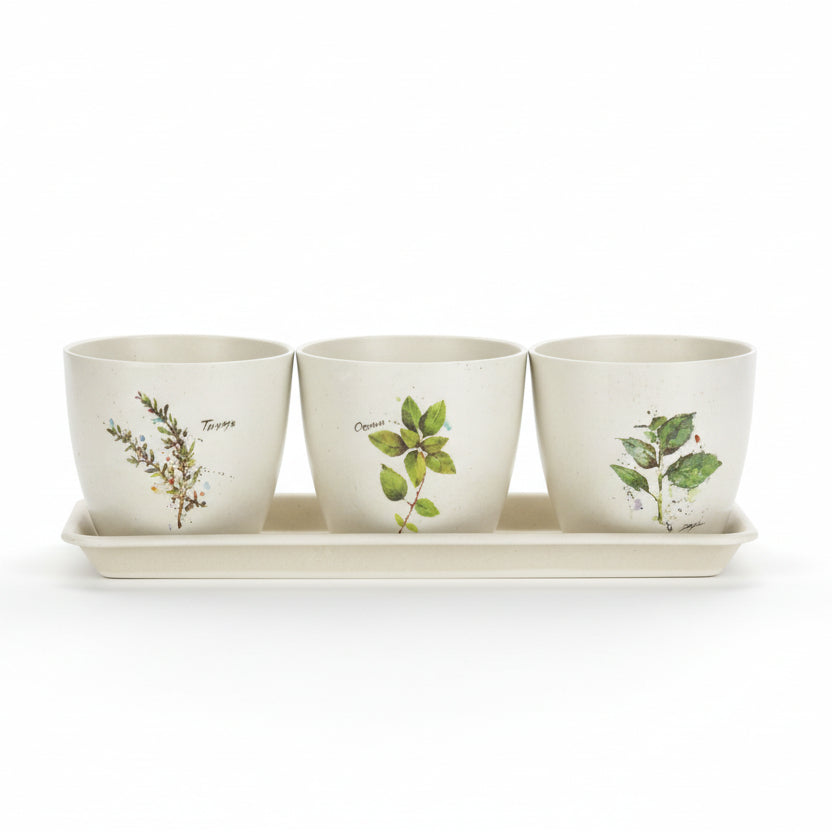 Dean Crousre Herb Planter Set