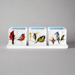 Bring the beauty of gardening to your kitchen with the Dean Crouser Herb Planter Set by Demdaco