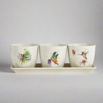 Dean Crouser Nature Planter Set