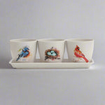 Dean Crouser Pretty Birds Planter Set