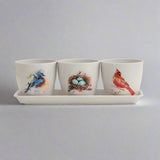 Dean Crouser Pretty Birds Planter Set