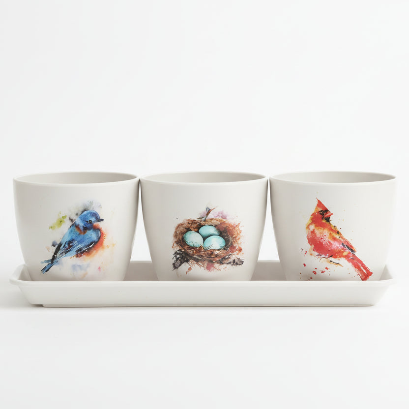 Dean Crouser Pretty Birds Planter Set