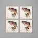 Dean Crouser Rainbow Trout Set of 4 Coasters