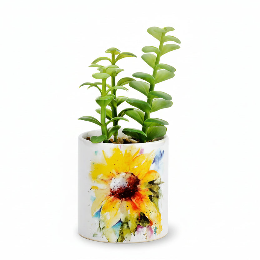 Dean Crouser Sunflower Succulent Planter
