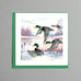 vBird Square Greeting Card by Quilling Card