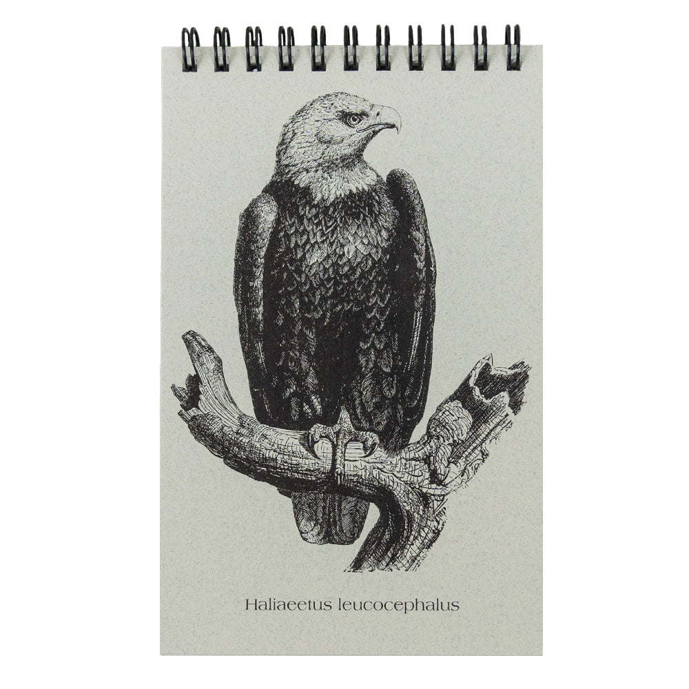 Eagle Explorer Pad by Semaki & Bird