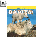 Babies! by Farcountry Press (11 Titles)
