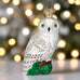 Bird Ornaments by Old World Christmas (15 Styles)