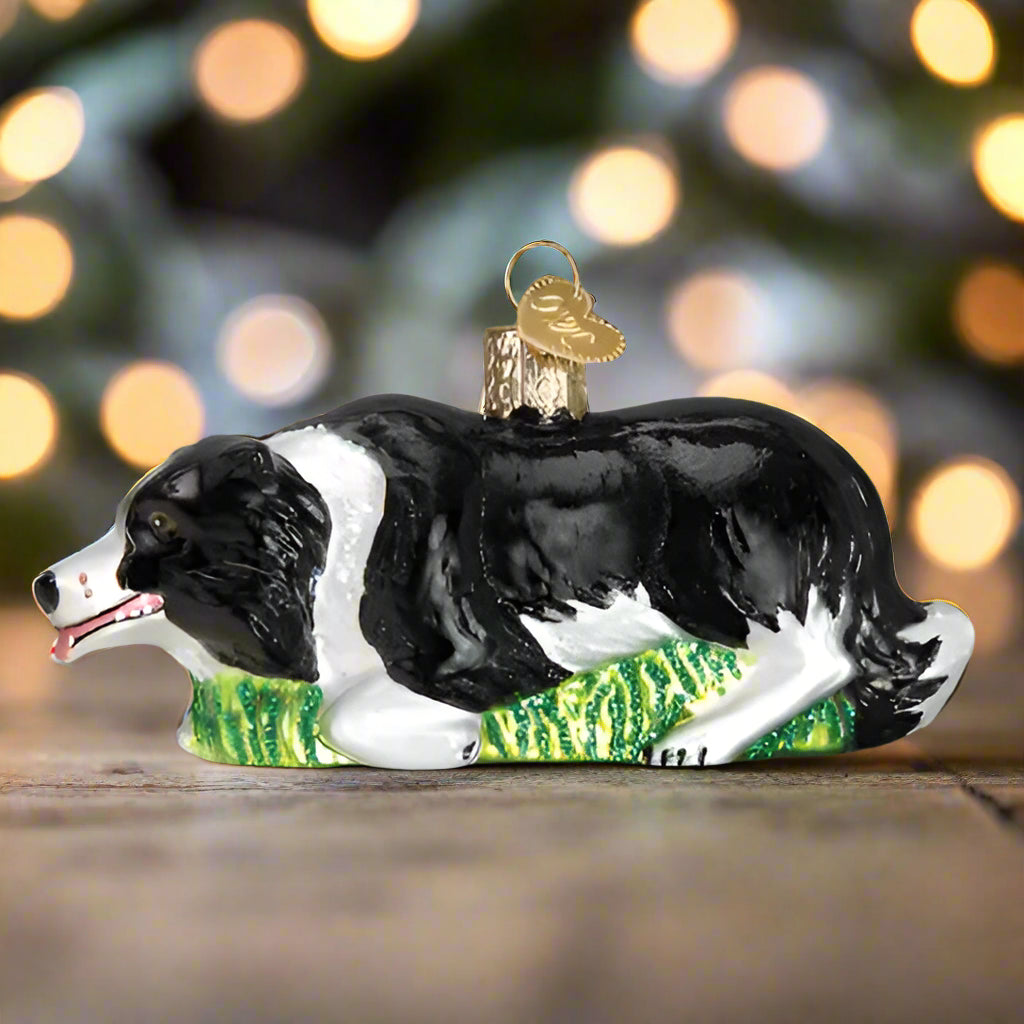 Herding Boarder Collie Ornament