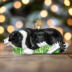 Herding Boarder Collie Ornament