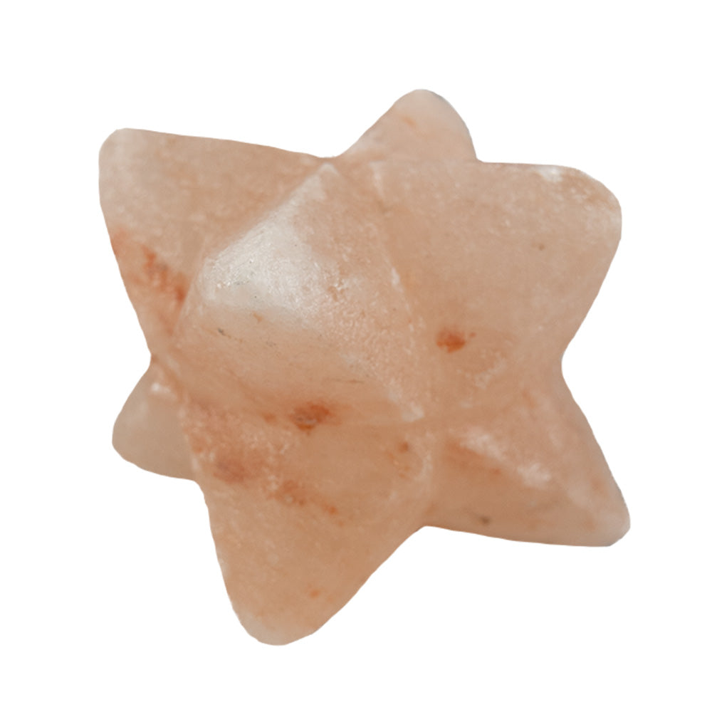 Salt Star Paper Weight by Western Woods Distributing