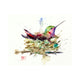 Dean Crouser Hummer in a Nest Greeting Card