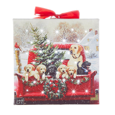 The Labradors in a Truck Lighted Print Ornament by RAZ Imports is one of the best ways we know to bring some sparkling Christmas magic into any home! - labrador decor