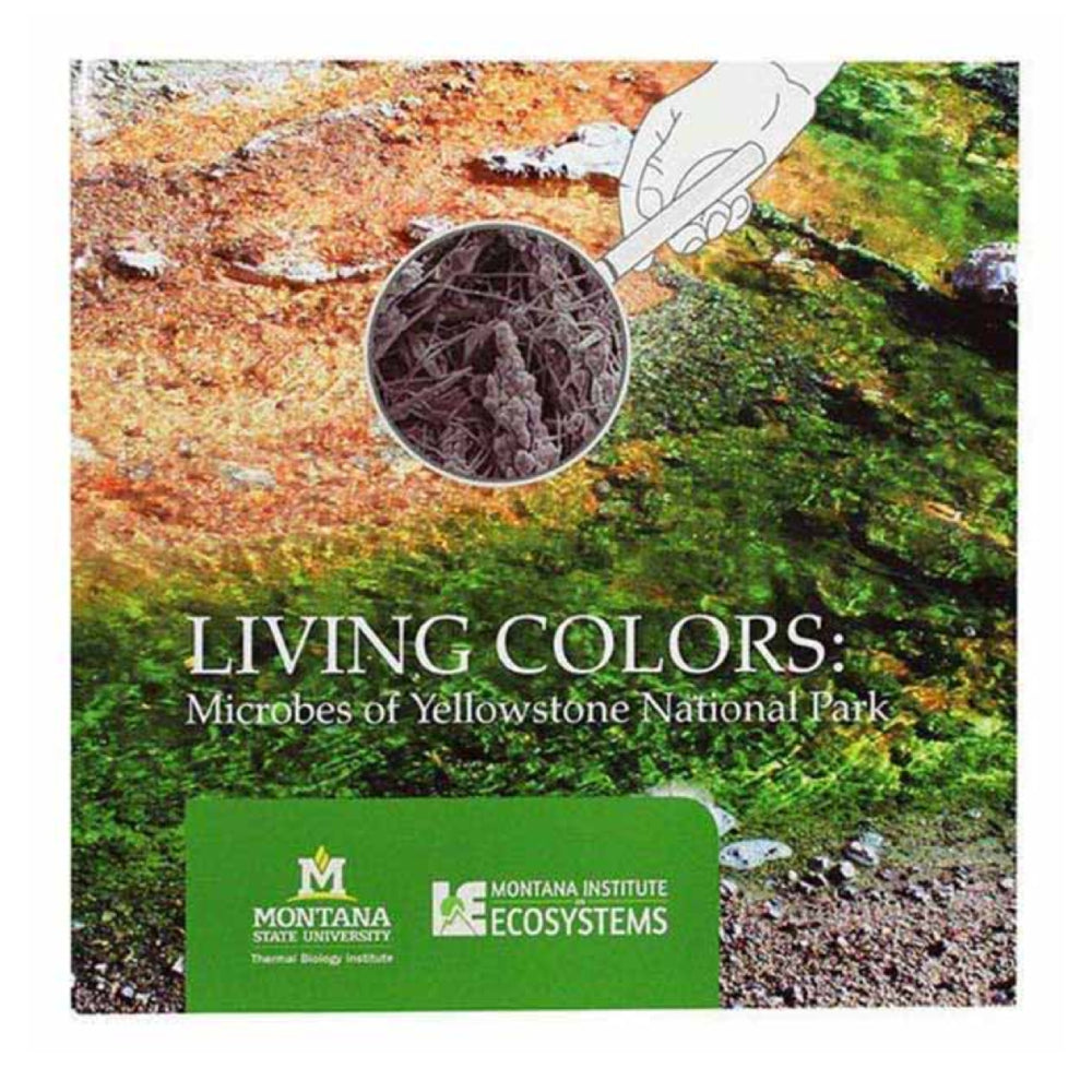 Living Colors: Microbes of Yellowstone National Park by Montana State University