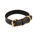 Leather Dog Collar by Tall Tails (2 Sizes)