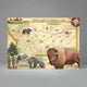 Montana Magnet by Xplorer Maps (4 Styles)