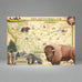 Montana Magnet by Xplorer Maps (4 Styles)