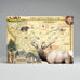 Montana Magnet by Xplorer Maps (4 Styles)