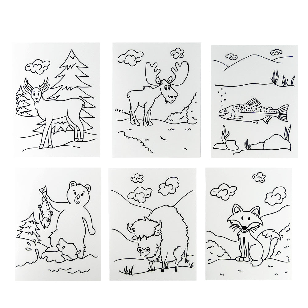 Montana Wildlife Coloring Card Set