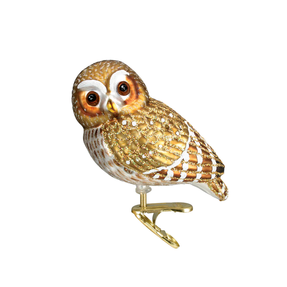 Pygmy Owl Glass Christmas Ornament