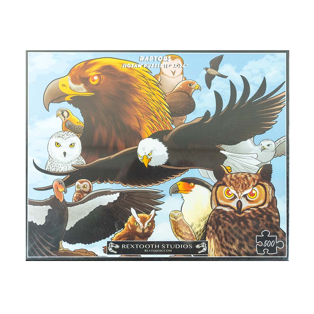The Raptors Jigsaw Puzzle by Rextooth Studios is a great way to learn about the many raptors that live in Montana as well as other parts of the country! 