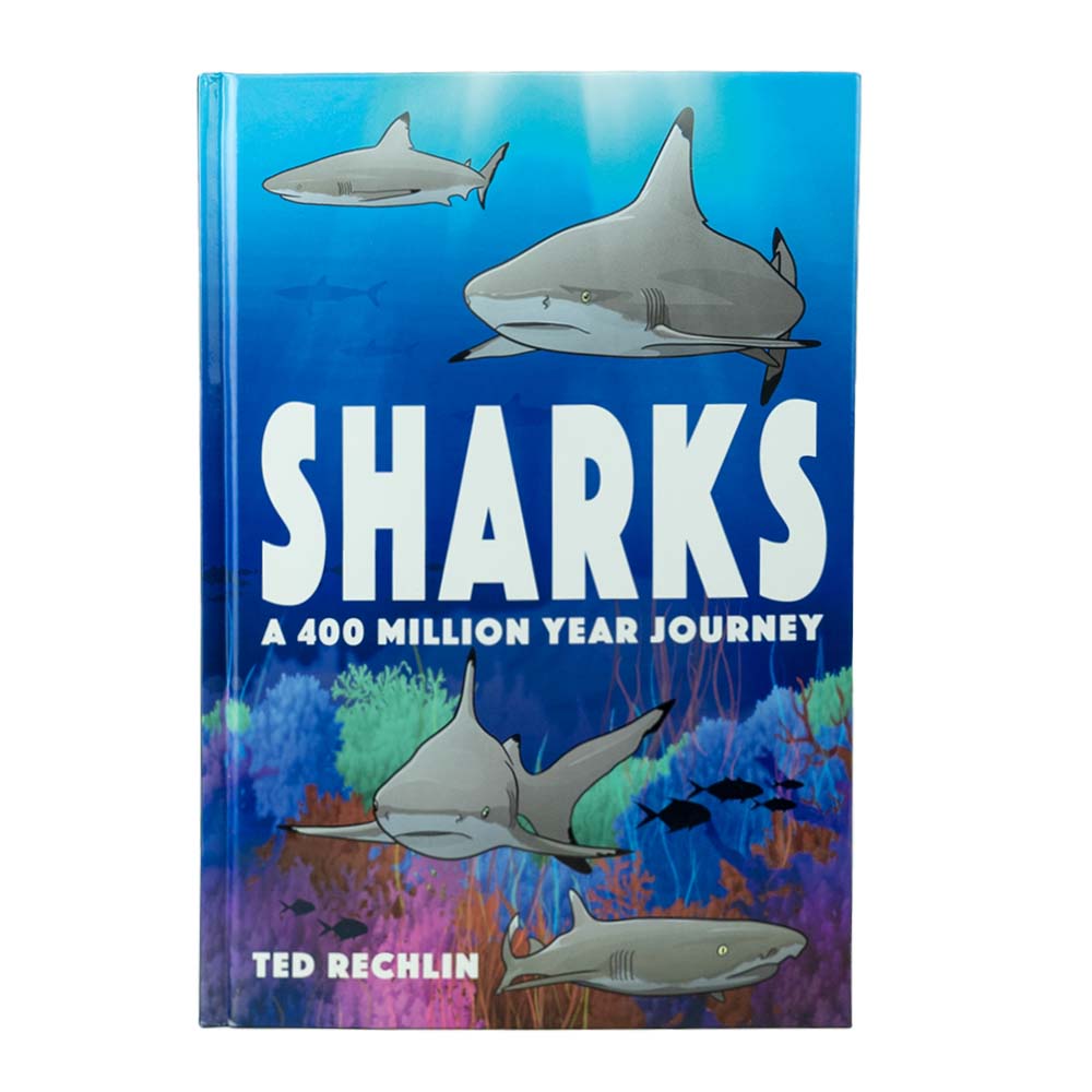Now kids can enjoy an exciting graphic novel about how sharks began their journey in this world with Sharks: A 400 Million Year Journey by Ted Rechlin!