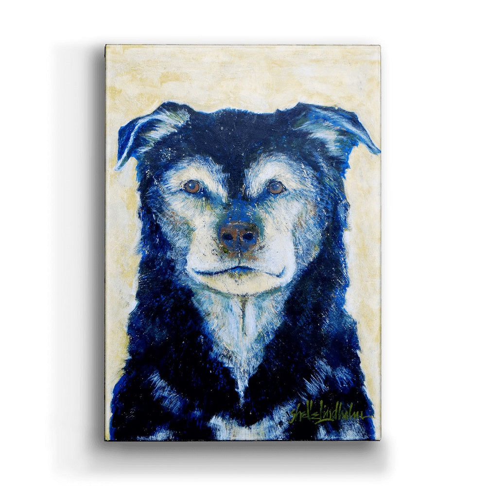 Shelle Lindholm Old Faithful Dog Metal Box Wall Art by Meissenburg Designs 