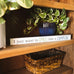 Smell Like Campfire Shelf Plaque by Blair Cedar
