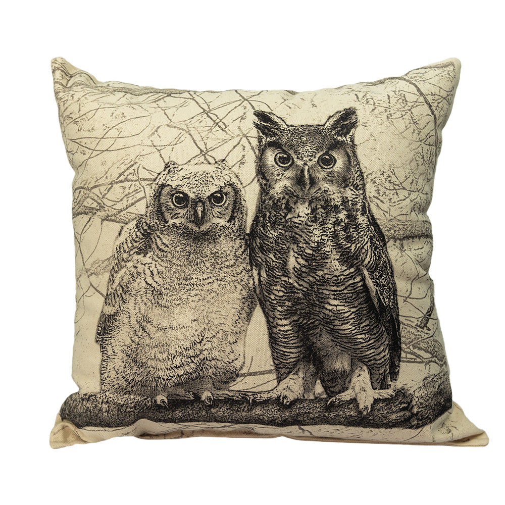 two owls in a tree