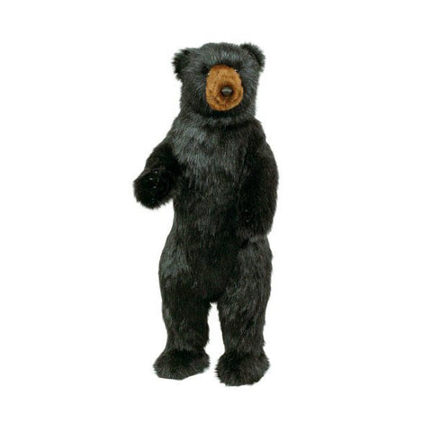 Standing Black Bear - 36
