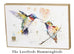 Bird Wall Art by Dean Crouser (14 Designs)
