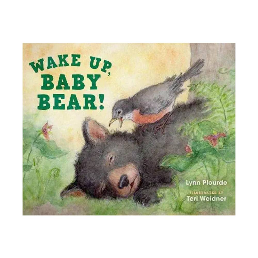 Wake Up Baby Bear by Lynn Plourde - wildlife books