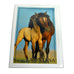 Wild Horse and Colt Greeting Card by Lantern Press