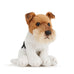 Dog Breeds Beanbag by Nat & Jules (23 options)
