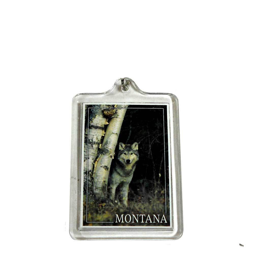Wolf in Forest Montana Keychain
