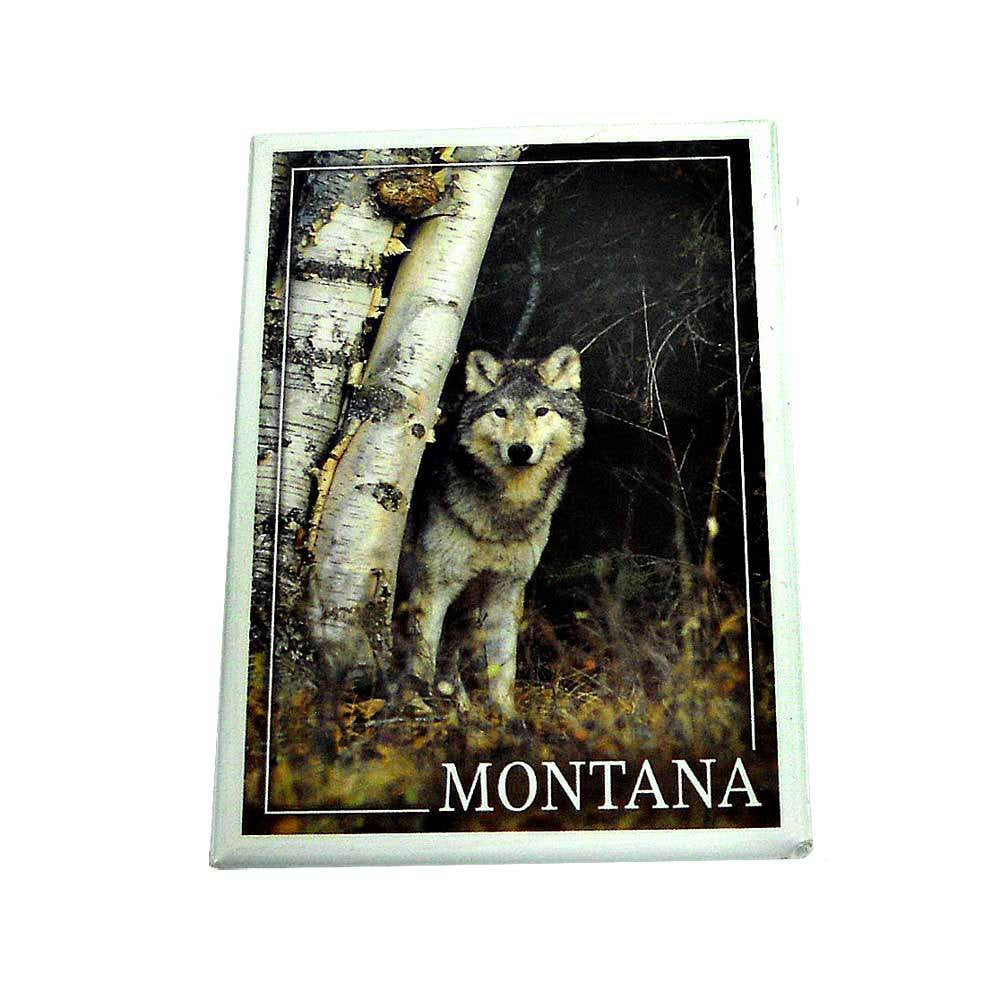 Wolf in Forest Montana Magnet