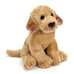 Dog Breeds Beanbag by Nat & Jules (23 options)