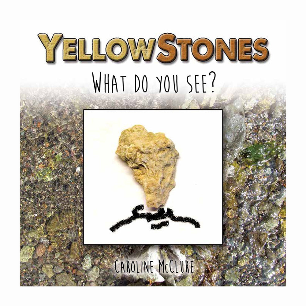 Yellow Stones: What Do You See? by Caroline McClure is a fun book that is sure to flex your little one's creative muscles!