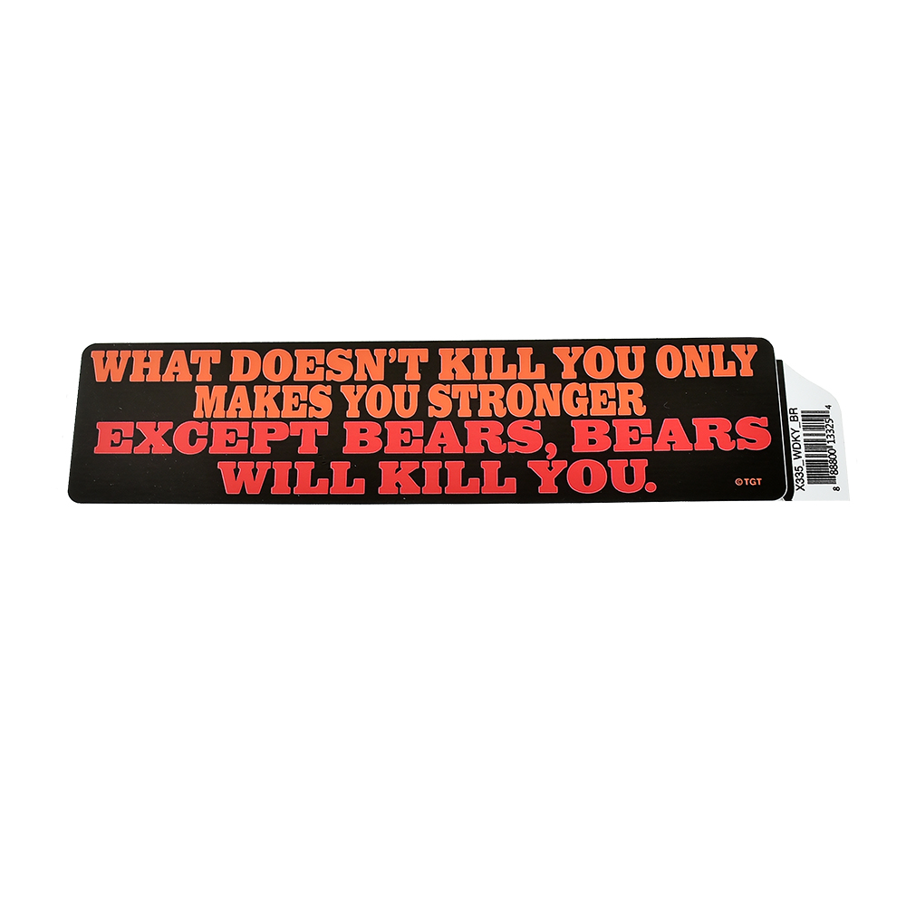 What Doesn't Kill You Rectangle Bumper Sticker